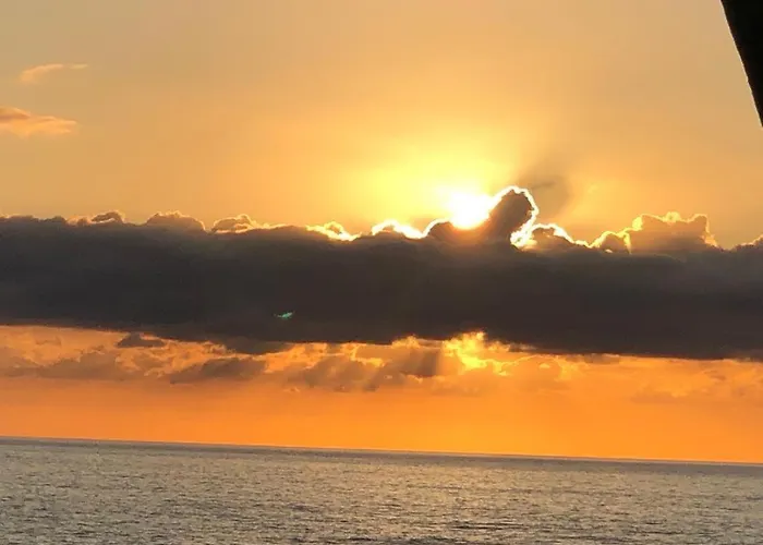 Centro Del Porto Alguer